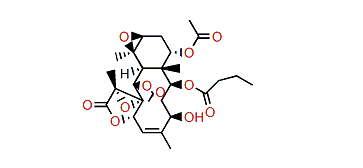 Stecholide D